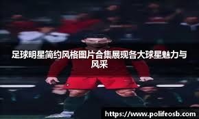产与粉丝
